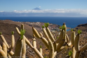 teide mit san sebastian3